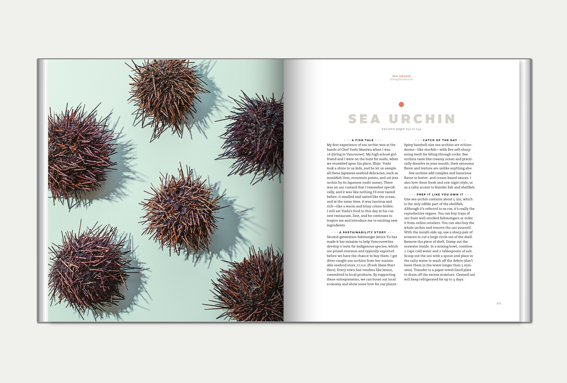 double-page spread