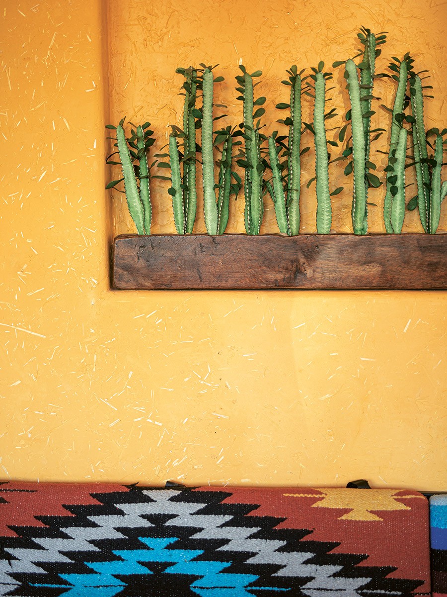 orange wall with cactuses