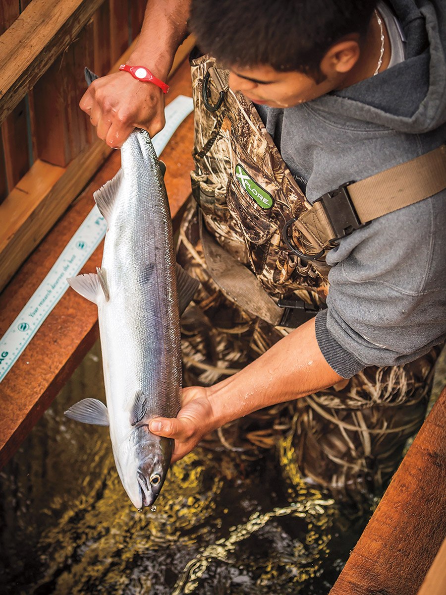 man holding large fish