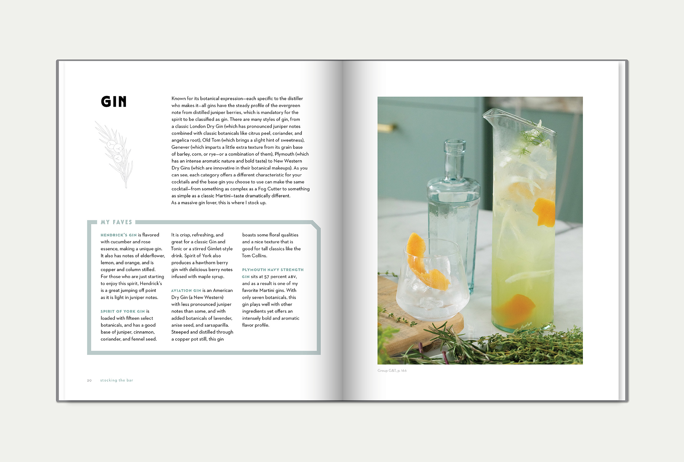 The Art of Mixology: Bartender's Guide to Gin: Classic and Modern-Day  Cocktails for Gin Lovers (Hardcover)