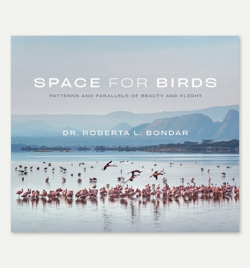 Space for Birds