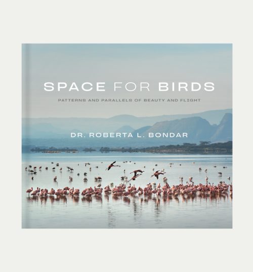Space for Birds
