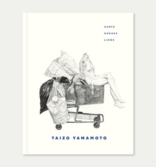 Taizo Yamamoto