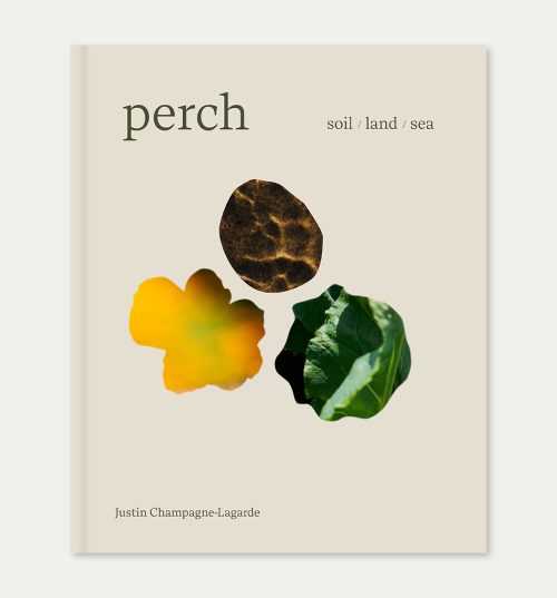 Perch