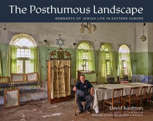 The Posthumous Landscape book cover