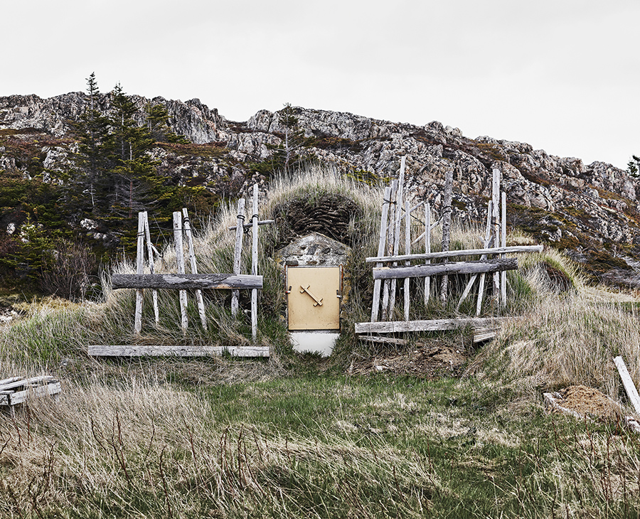 Root cellar embedded in a grassy knoll with a white door and branches around the door