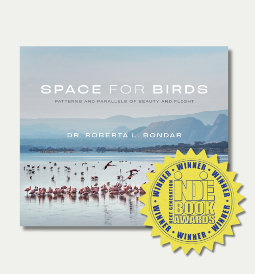 <em>Space for Birds</em> wins Next Generation Indie Book Award
