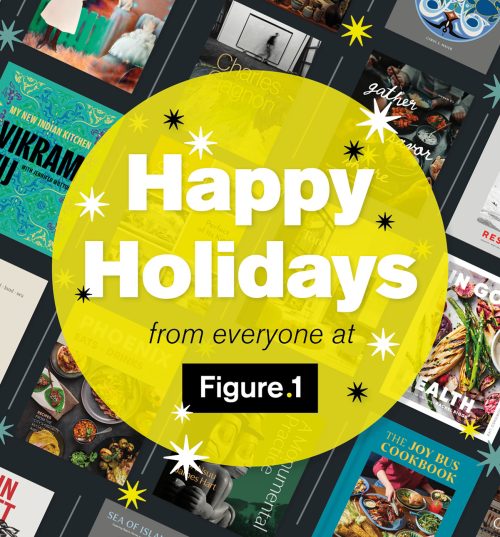 Stacking up our most giftable books of the year